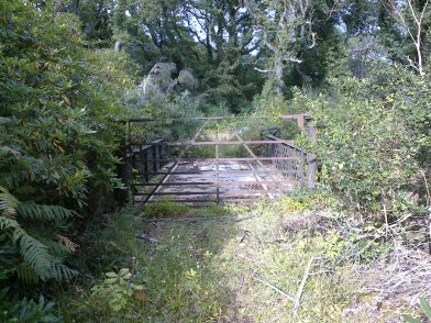 Footbridge to Curraghmore Estate