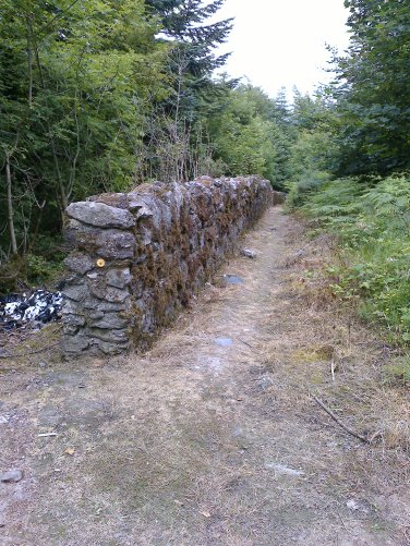 Original field boundary walls in Portlaw woods