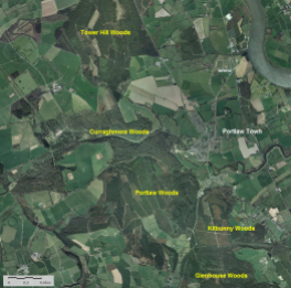 Map of 5 woodland areas in Portlaw