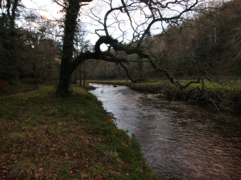 Clodiagh River in Curraghmore Estate