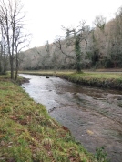 Clodiagh River in Curraghmore Estate