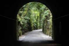 Durrow Tunnel on the Waterford Greeway