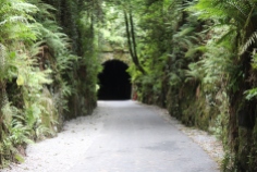 Durrow Tunnel on the Waterford Greenway